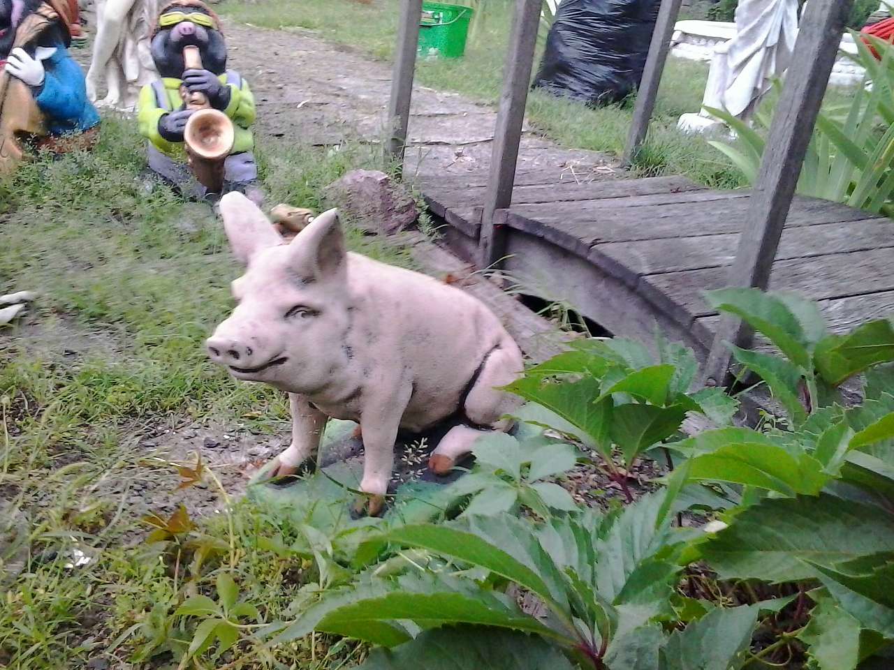 ВИСТАВКА-ПРОДАЖ 'УСЕ ДЛЯ БАСЕЙНІВ' - Стоянка