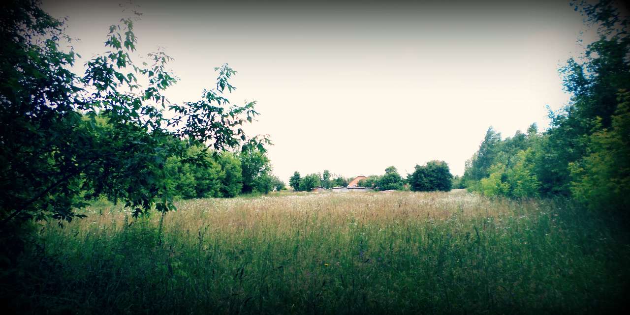 Наша Сидоровщина - Сидоровичі