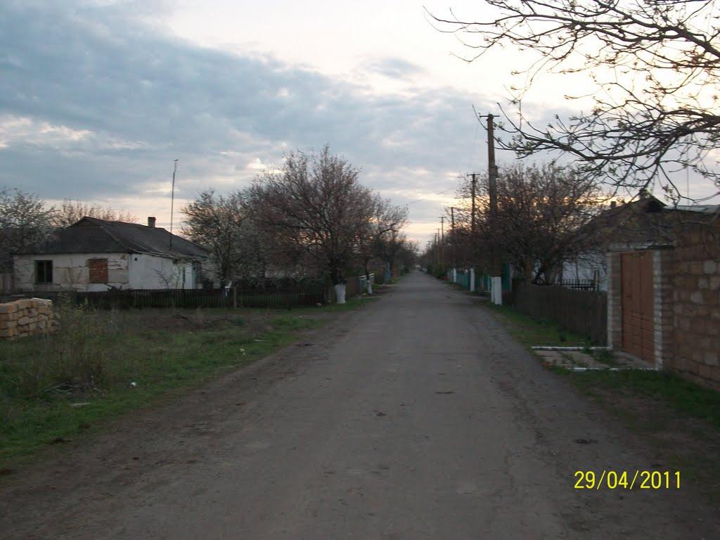 Трохимівка з panoramio.com - Трофимовка