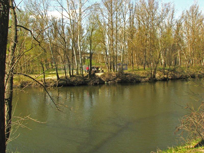 Петрівка з panoramio.com - Петрівка