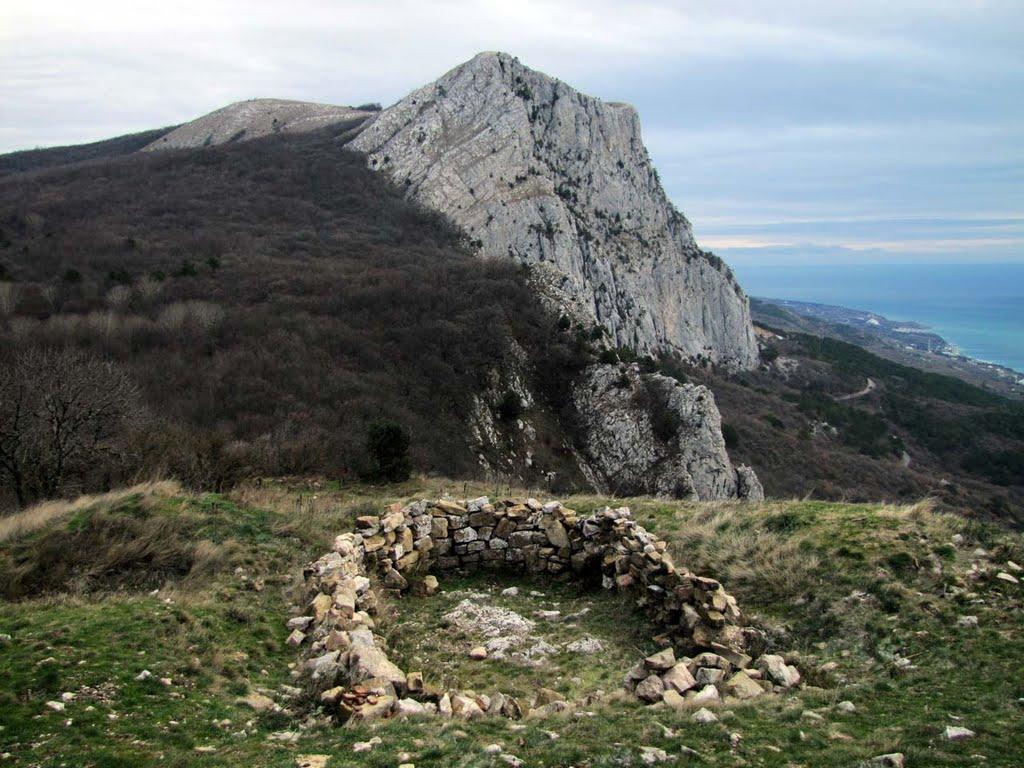 Олива з panoramio.com - Olyva