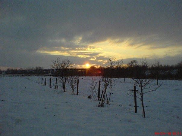 Дем'янка-Наддністрянська з panoramio.com - Дем'янка-Наддністрянська