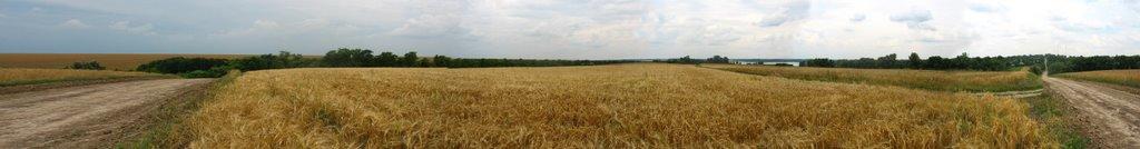 Соколівка з panoramio.com - Соколовка