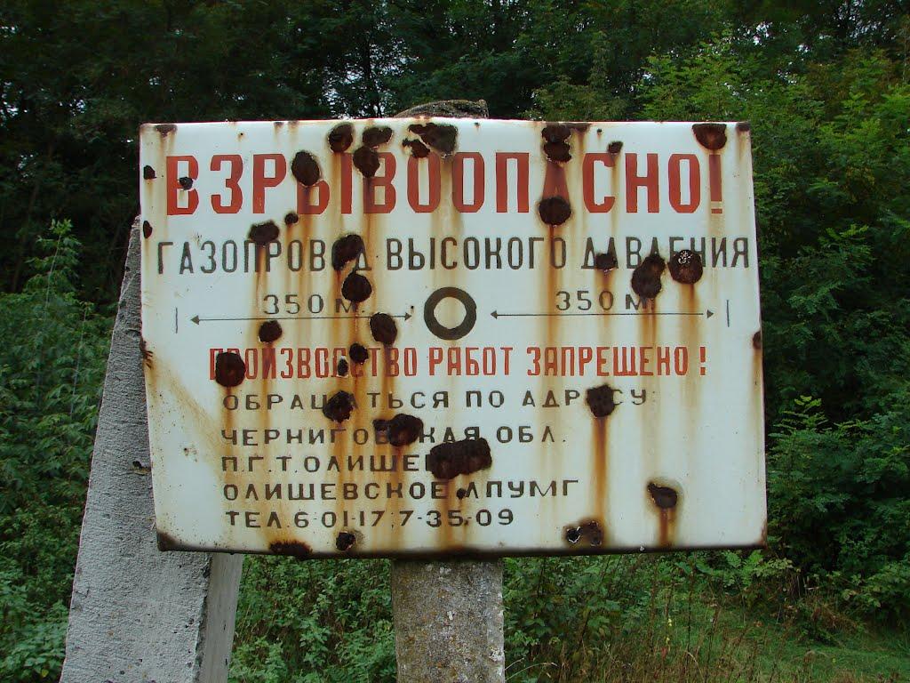 Нова Буда з panoramio.com - Новая Буда