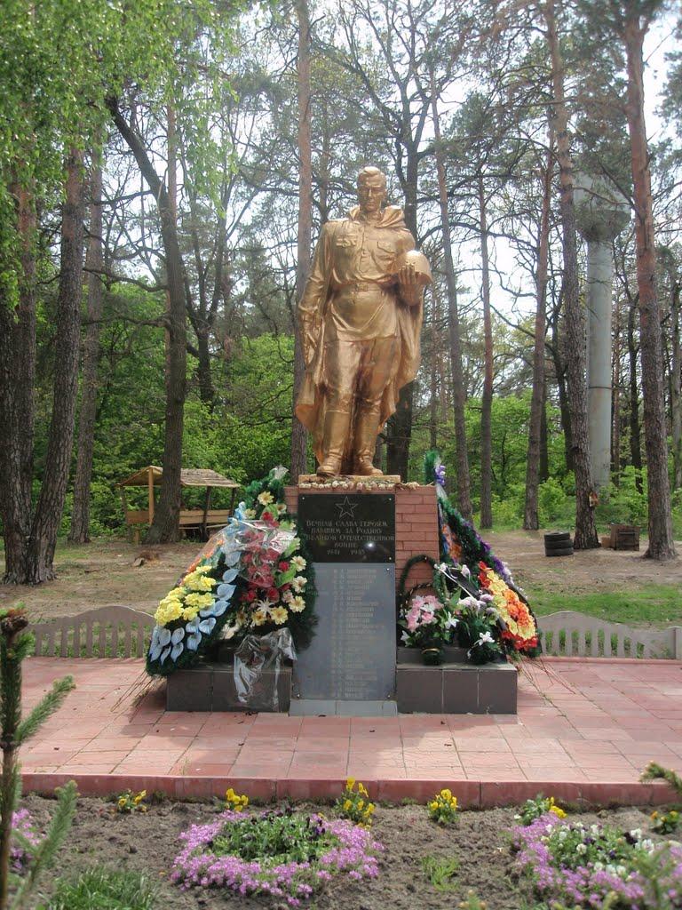 Трохимівка з panoramio.com - Трофимовка