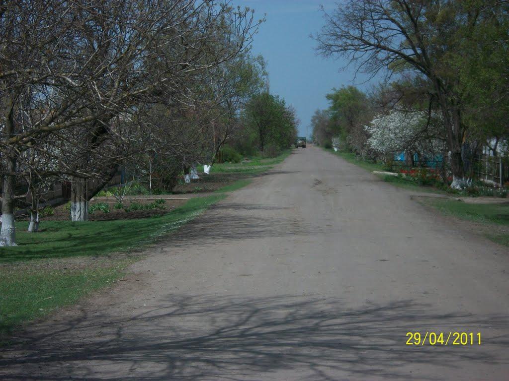 Трохимівка з panoramio.com - Трохимівка