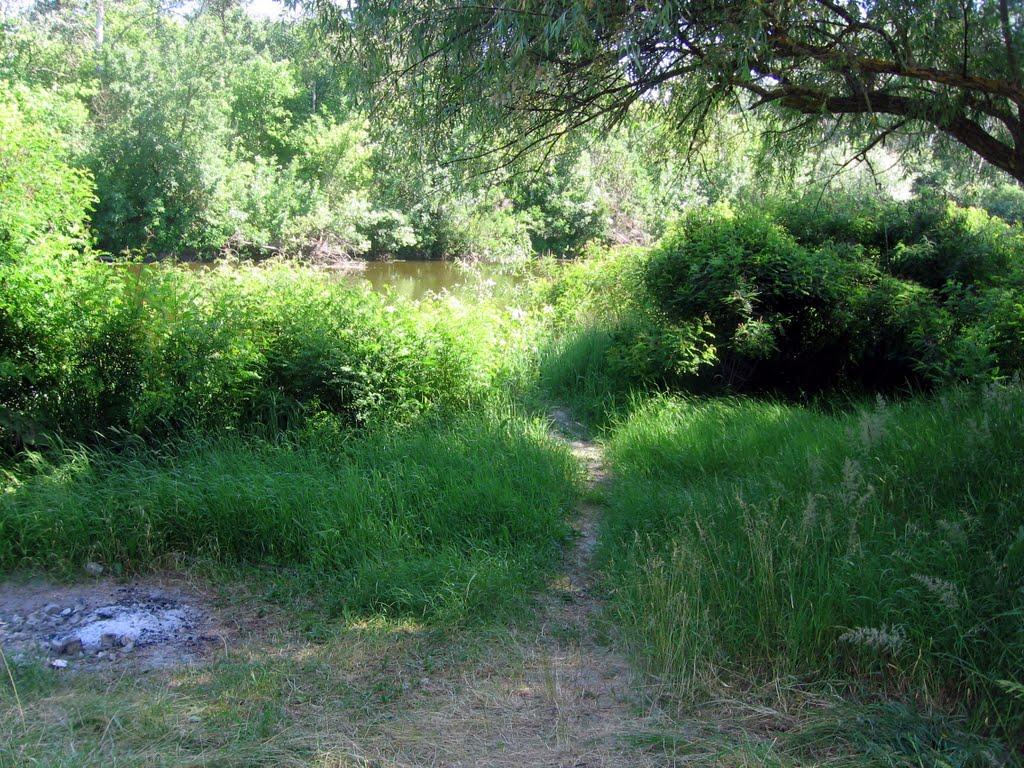 Федоренки з panoramio.com - Федоренки