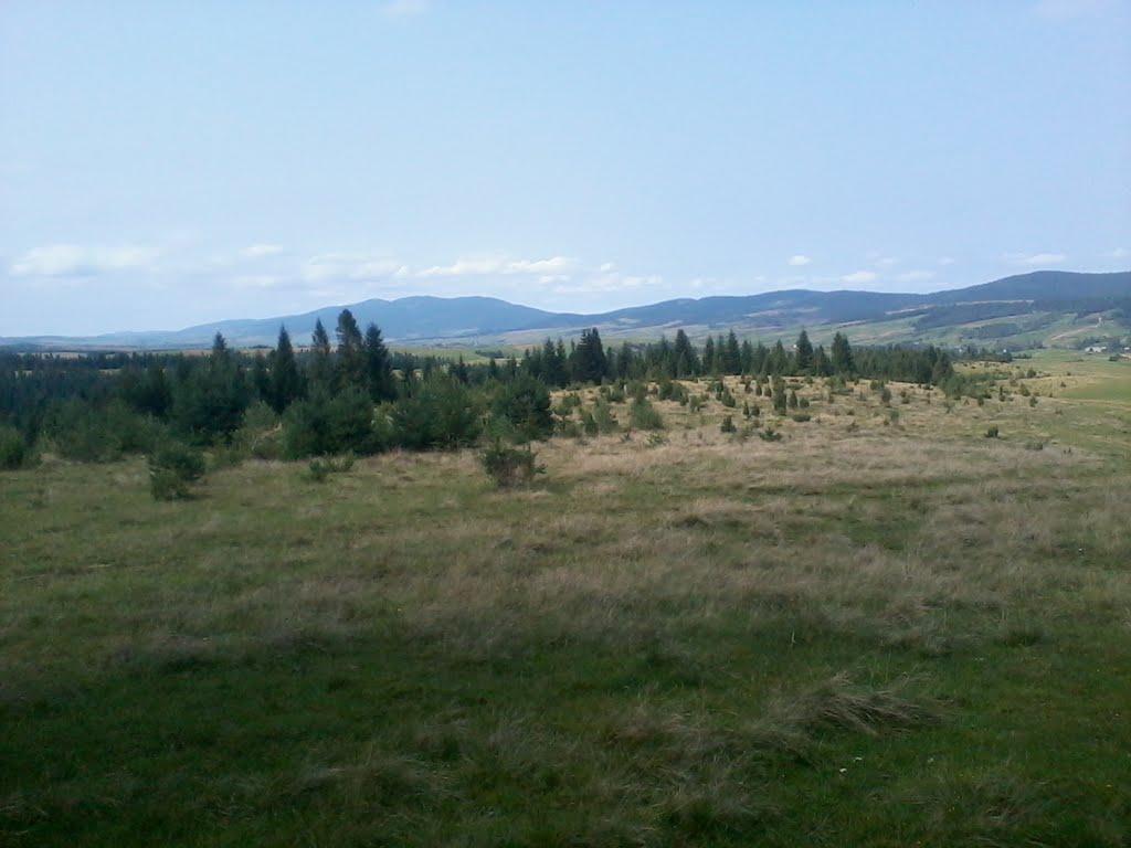 Вовче з panoramio.com - Волчье