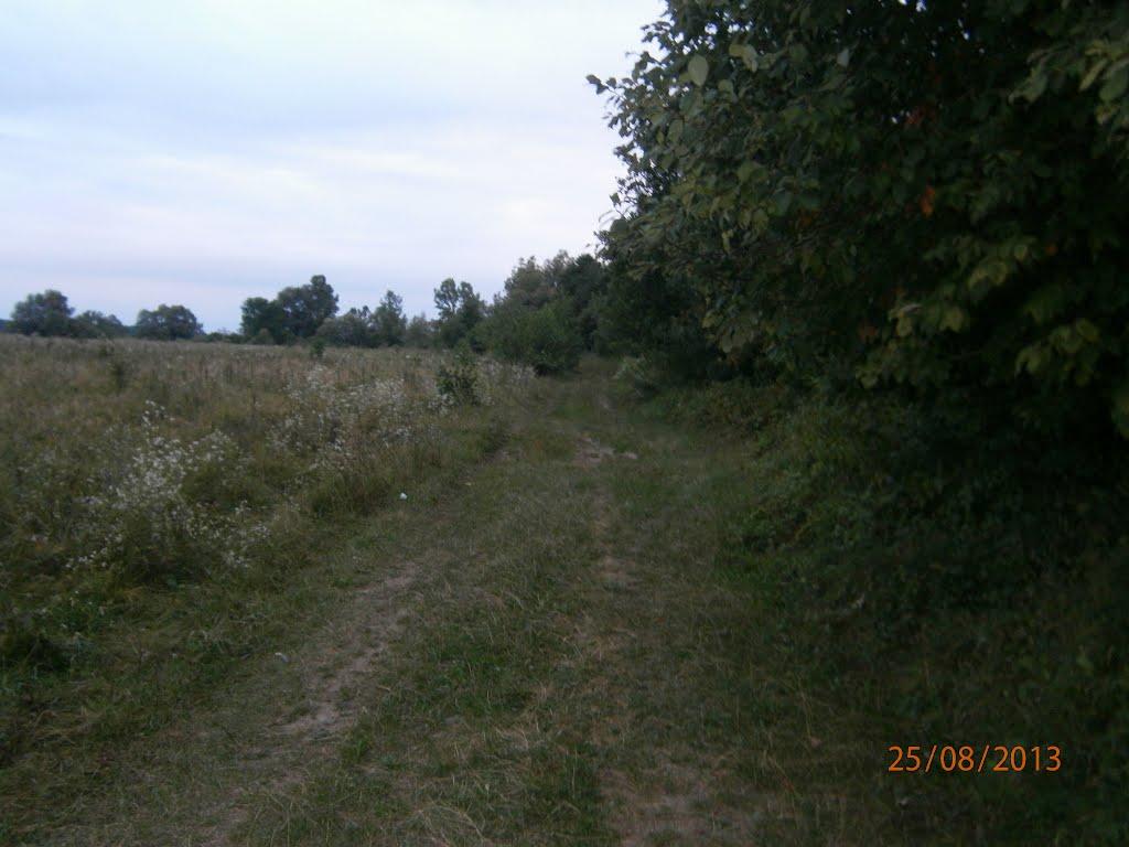 Берездівці з panoramio.com - Берездівці
