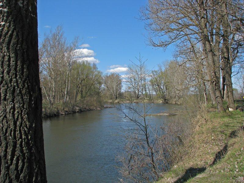 Петрівка з panoramio.com - Петрівка