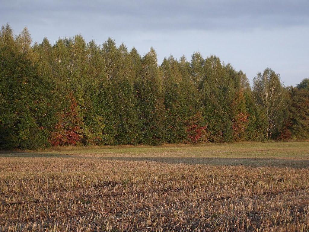 Глибока з panoramio.com - Глибока