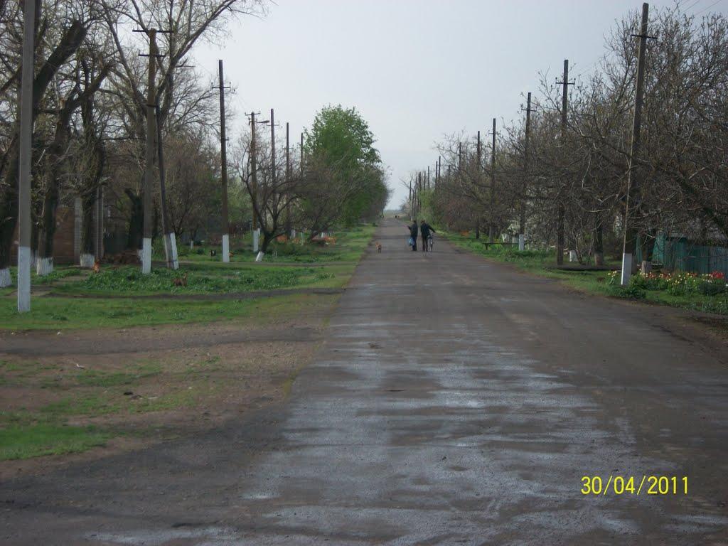 Трохимівка з panoramio.com - Трофимовка