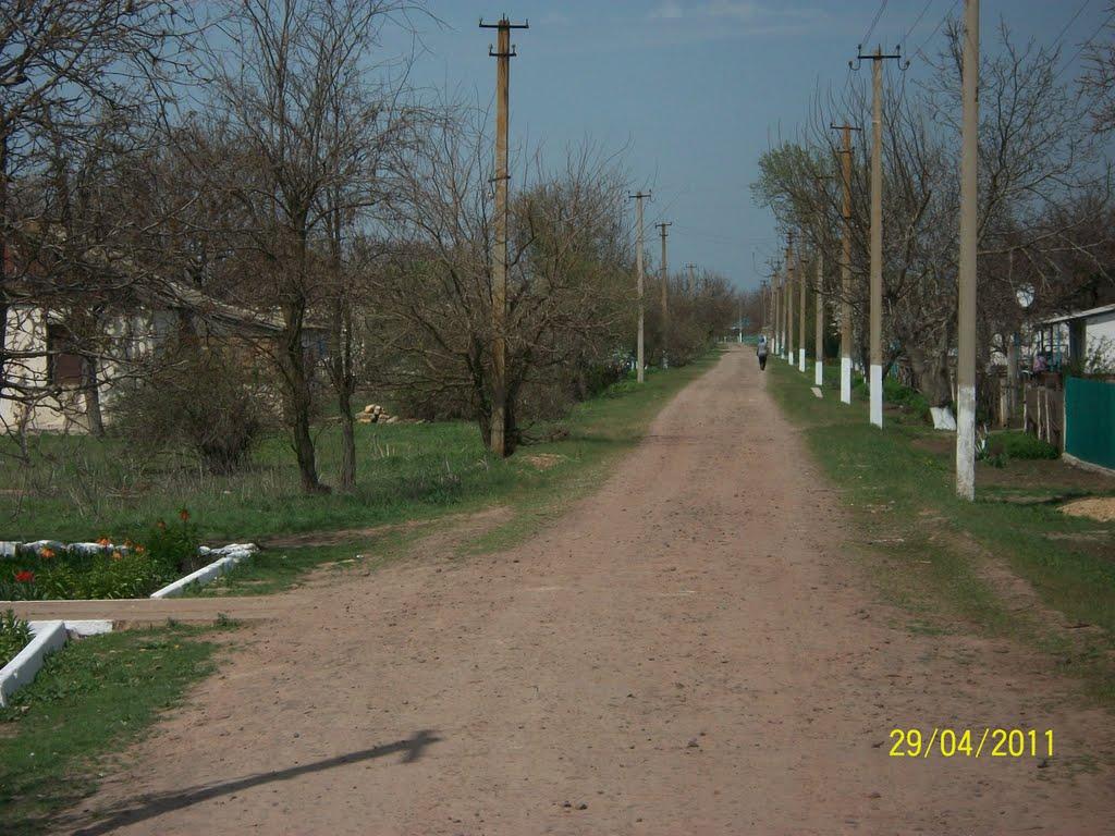 Трохимівка з panoramio.com - Трохимівка