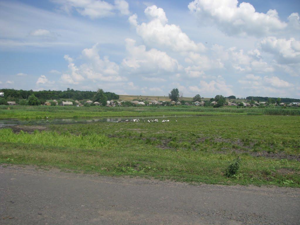 Артемівка з panoramio.com - Артемівка