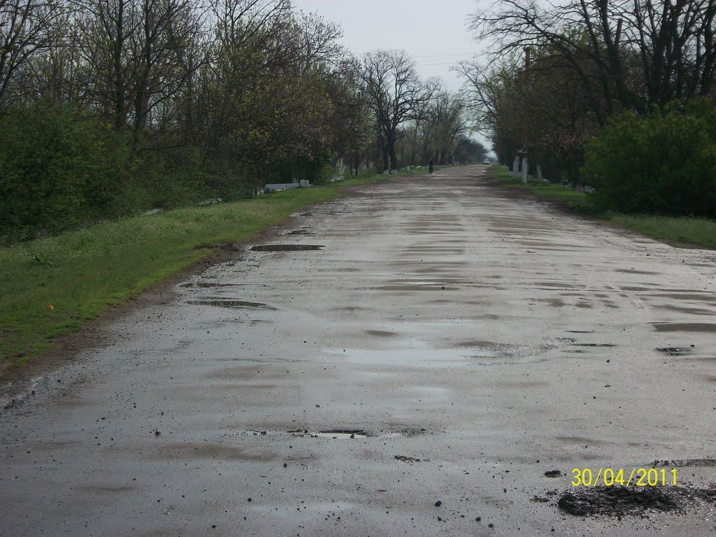 Трохимівка з panoramio.com - Трофимовка