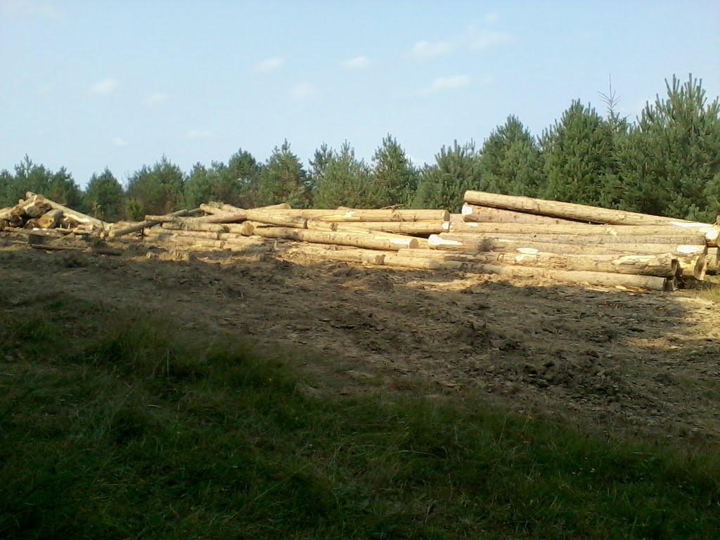 Вовче з panoramio.com - Волчье