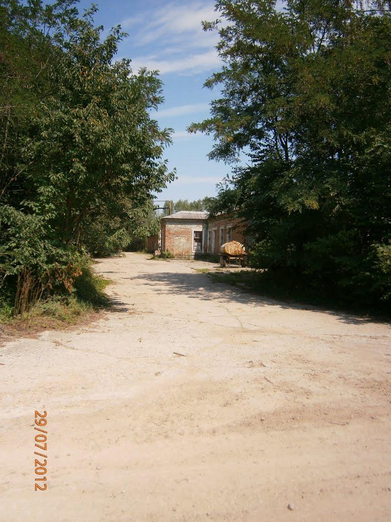 Розділ з panoramio.com - Розділ