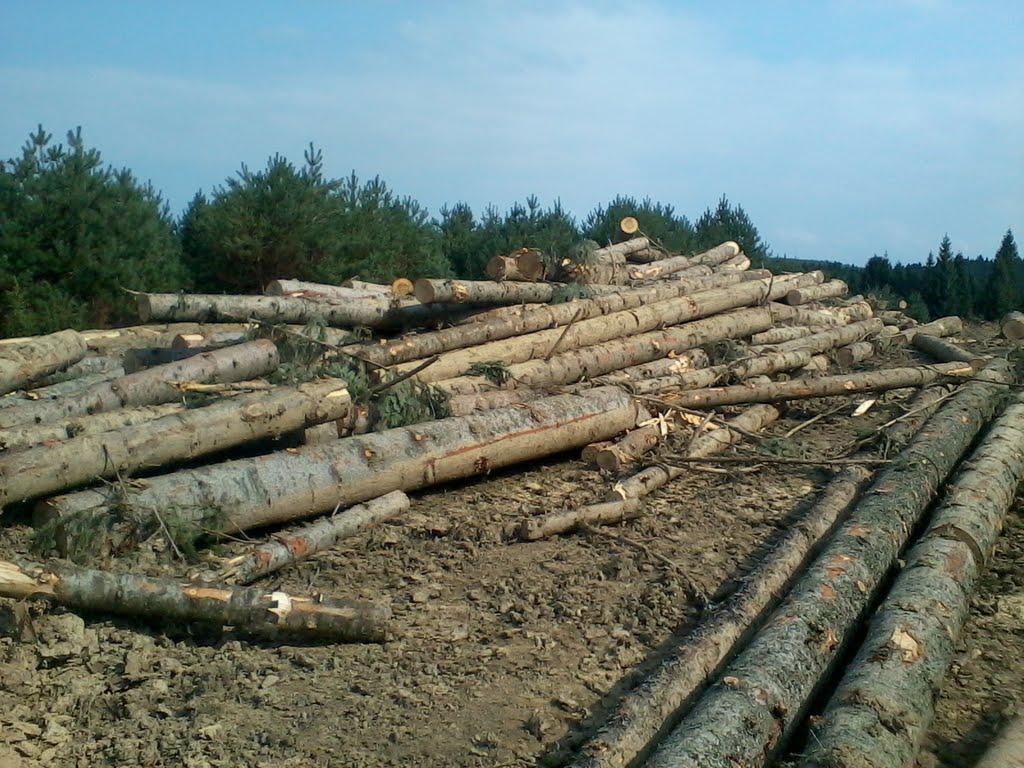 Вовче з panoramio.com - Волчье
