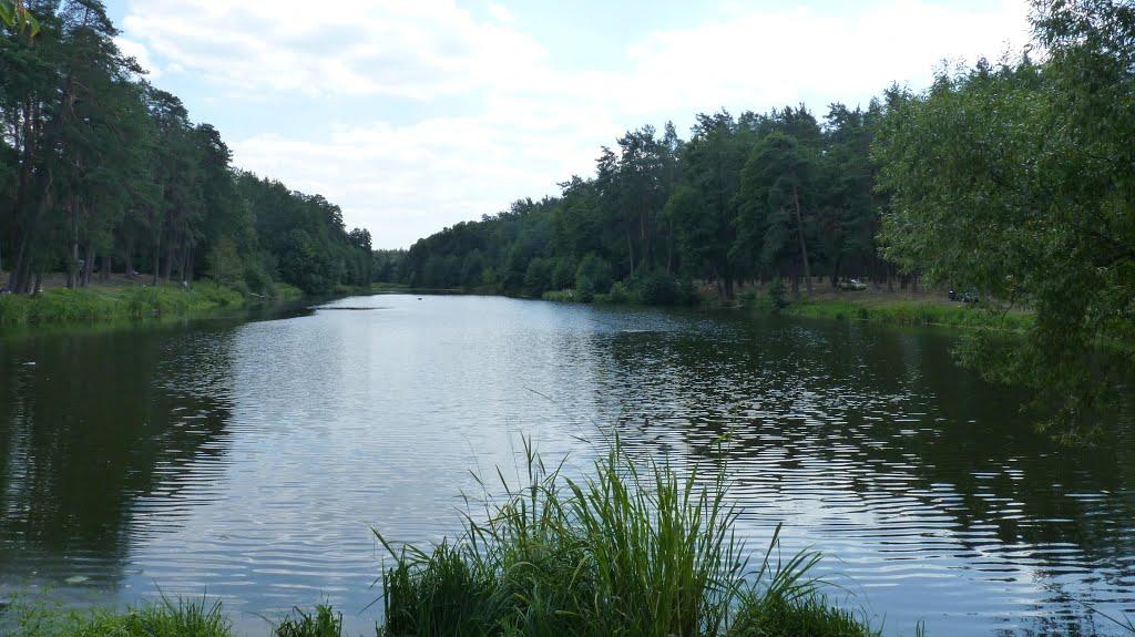 Горенка з panoramio.com - Горенка
