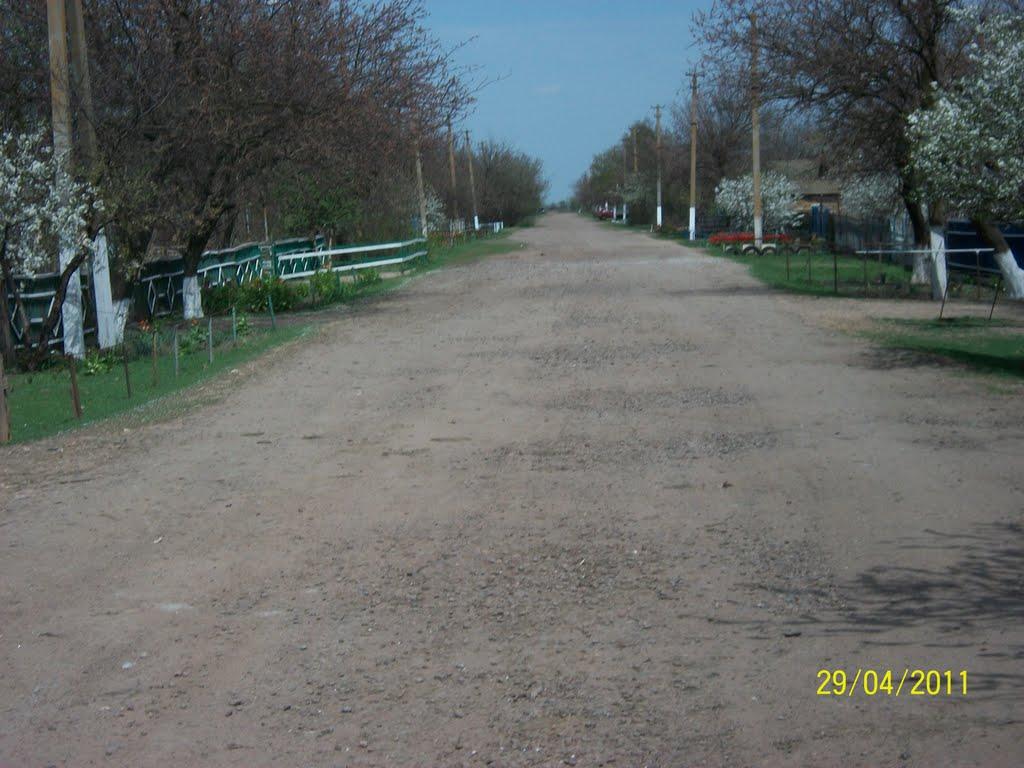 Трохимівка з panoramio.com - Трохимівка