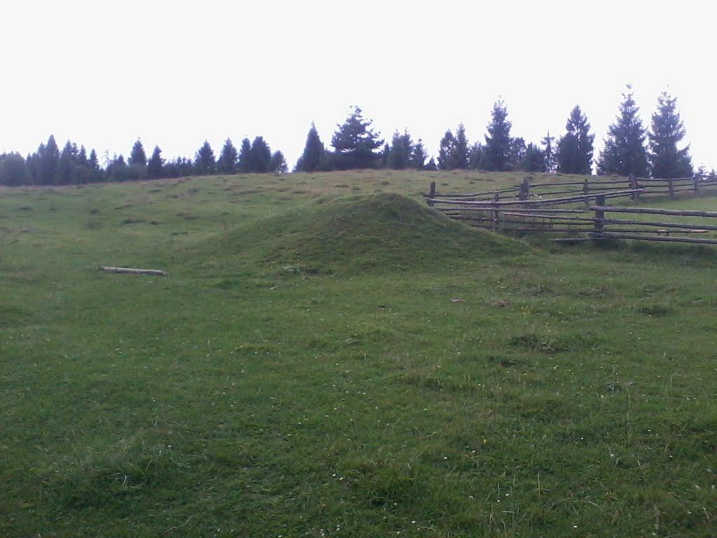 Вовче з panoramio.com - Волчье
