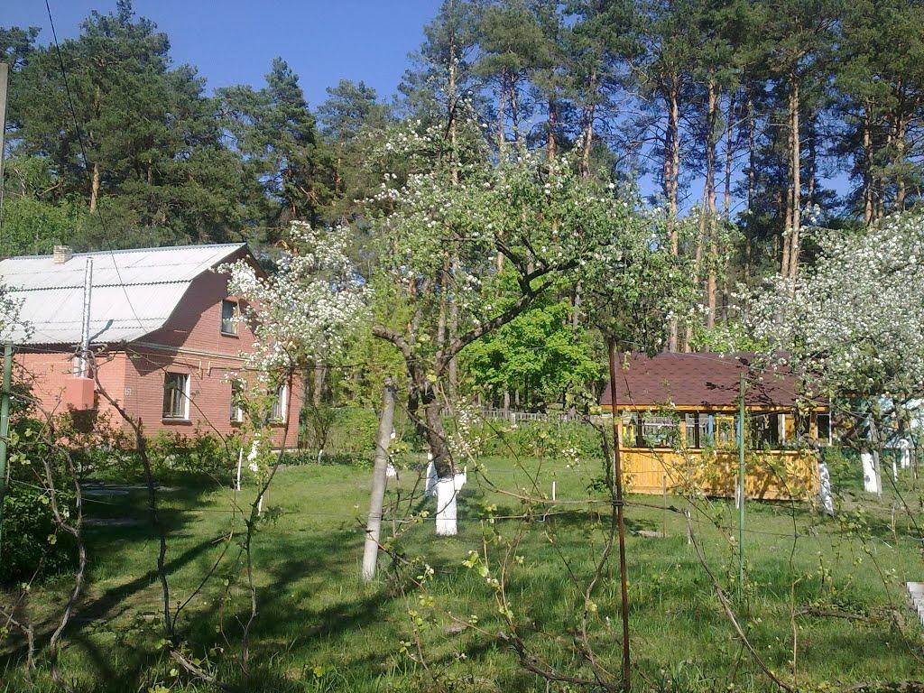 Горенка з panoramio.com - Горенка