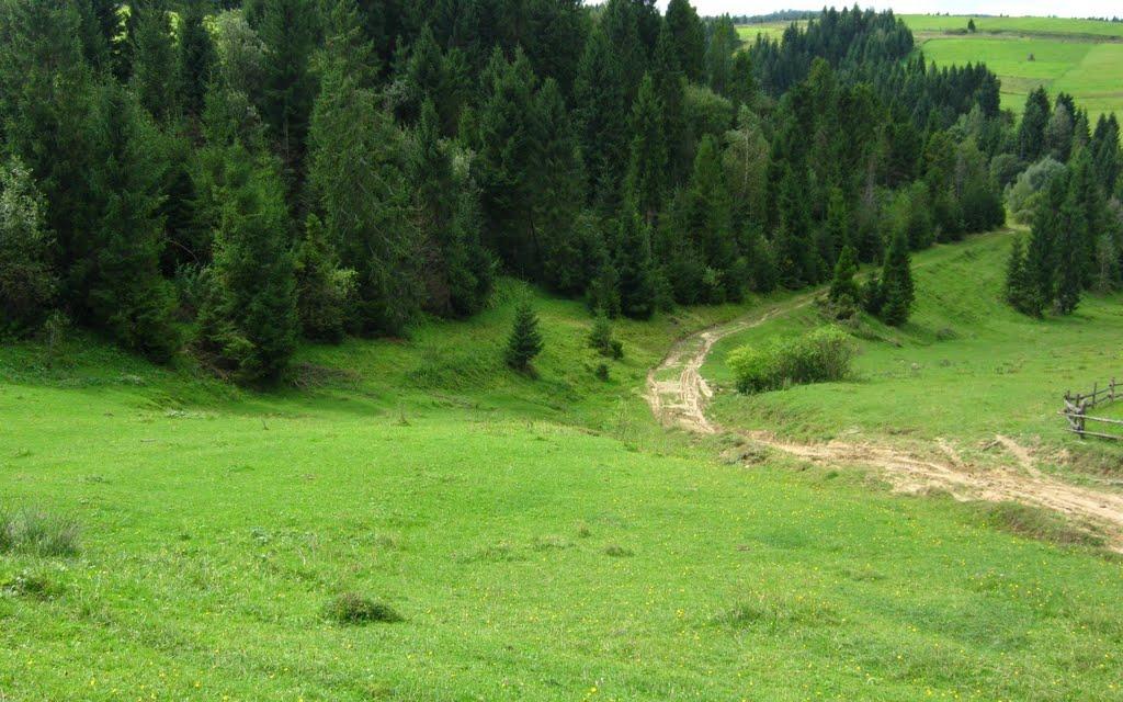 Вовче з panoramio.com - Волчье