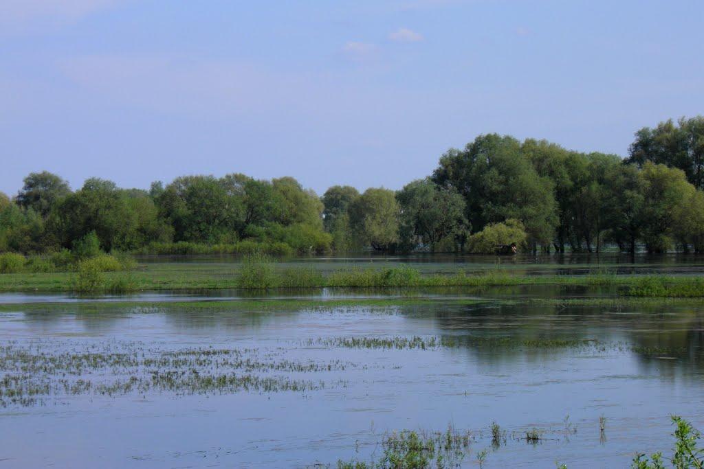 Розничі з panoramio.com - Розничі