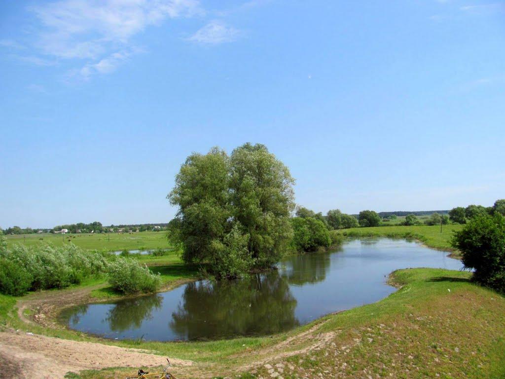 Колки з panoramio.com - Колки