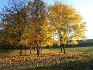 Рибальське з panoramio.com