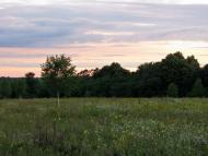 Радьківка з panoramio.com