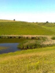 Гмирянка з panoramio.com