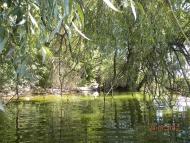 Жовнине з panoramio.com