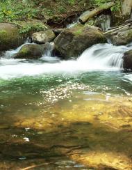 Синяк з panoramio.com