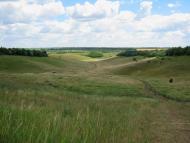 Довжик з panoramio.com