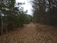 Вишевичі з panoramio.com