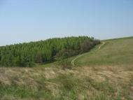 Красненьке з panoramio.com