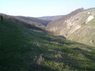 Кулішівка з panoramio.com