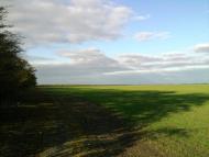 Калинівка з panoramio.com