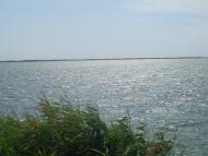 Рисове з panoramio.com