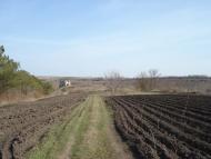 Сутківці з panoramio.com