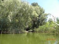 Жовнине з panoramio.com