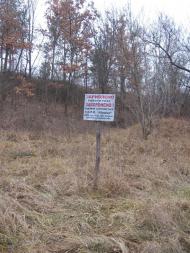 Залізняк з panoramio.com