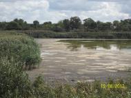 Карлівка з panoramio.com