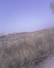 Грузько-Зорянське з panoramio.com