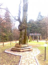 Товмачик з panoramio.com