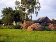 Полянка з panoramio.com