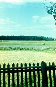 Лішня з panoramio.com