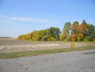 Красносілля з panoramio.com