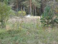 Три Копці з panoramio.com